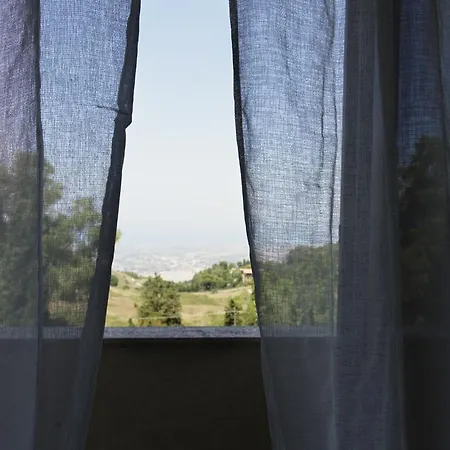 Cielo D'alcamo