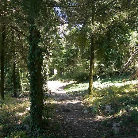 Cielo D'alcamo Hostel