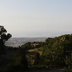 Cielo D'alcamo *